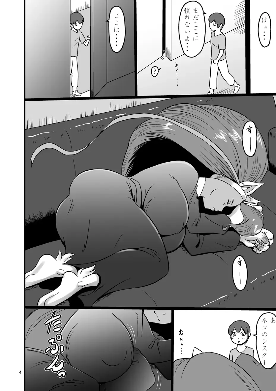 [Ml] Mesu Neko Sister Fhentai - Page 3