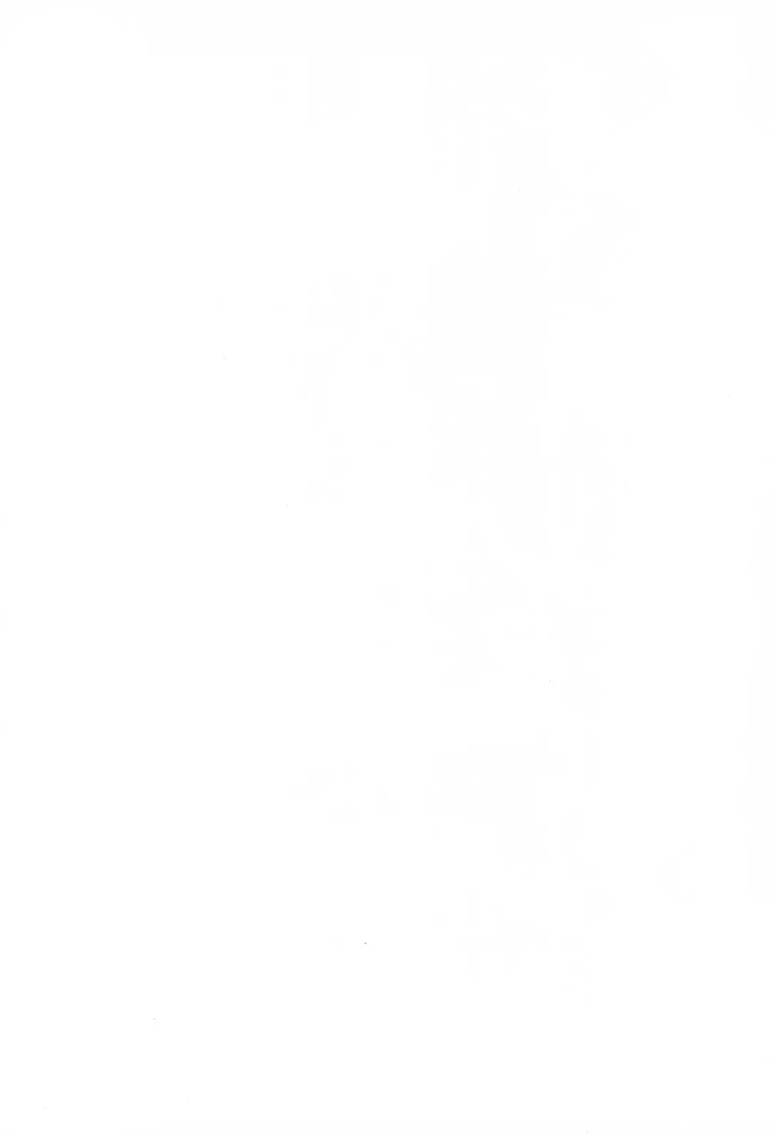 [Nekogen] Daihinmin Fhentai - Page 2