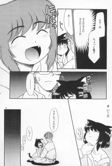 [Nekogen] Daihinmin Fhentai - Page 43