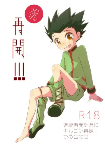 Read KilluaGon Sairoku Tsumeawase - Fhentai