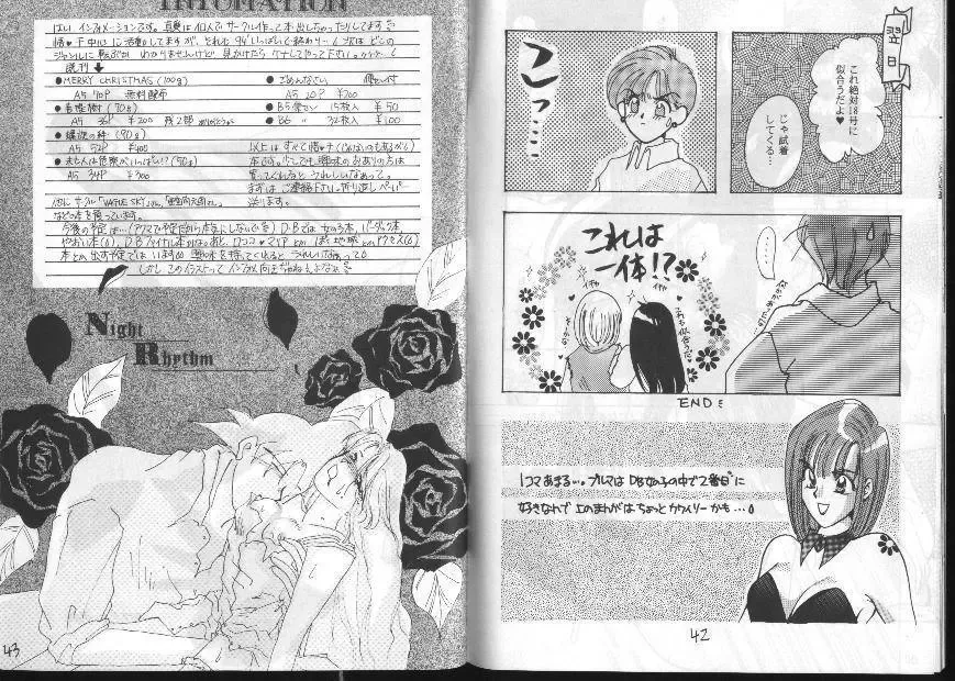 Dragonball for adult Fhentai - Page 23