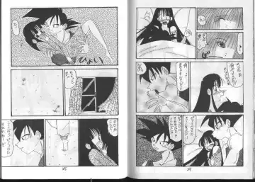 Dragonball for adult Fhentai - Page 14