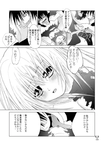 [Kurai Yatasuke] Ikazuchi EVE SCREAM 3 Fhentai - Page 15