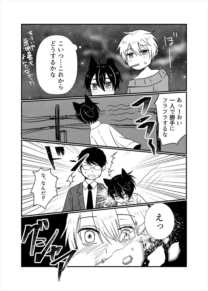 [21g No Daizu Choco] Nekomimi Shounen Cake Fhentai - Page 12