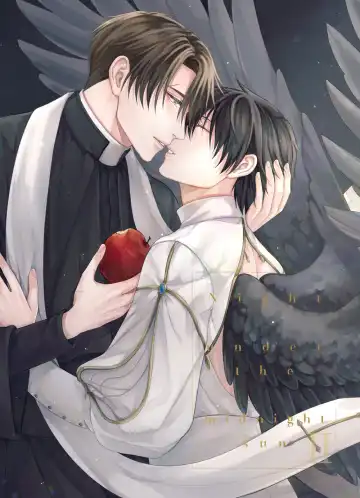 Read [Shizuka] Night under the midnight sun ✜ Ⅱ - Fhentai