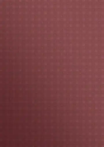 [Kisarazu Yuu] Ochibana Fhentai - Page 17