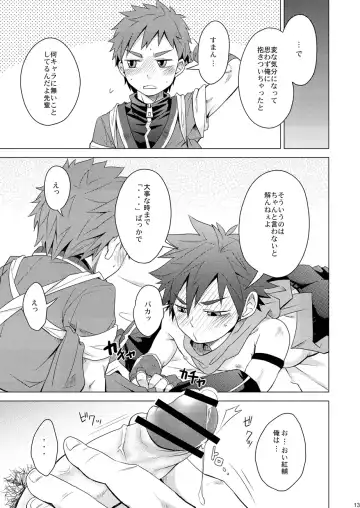 [Torakichi] PR Fhentai - Page 13