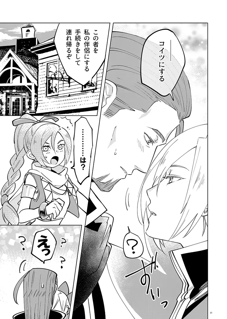 [Tokidoki Tidori] Mamono no Kuni no Himegimi Fhentai - Page 13