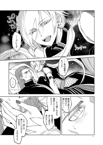 [Tokidoki Tidori] Mamono no Kuni no Himegimi Fhentai - Page 17