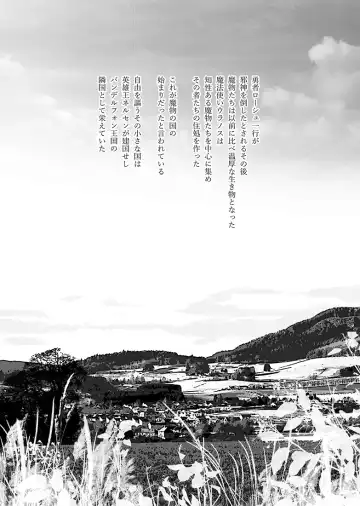 [Tokidoki Tidori] Mamono no Kuni no Himegimi Fhentai - Page 4