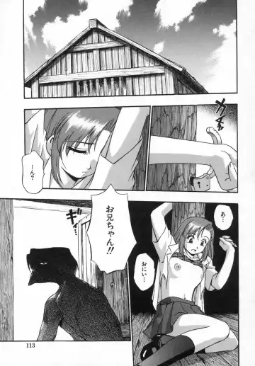 [Kirara Moe] Ane Mamire Fhentai - Page 115