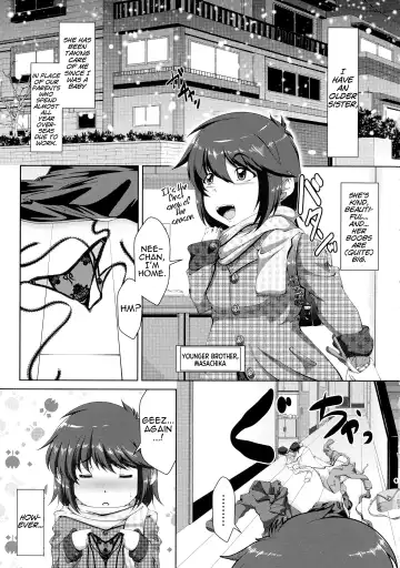 Read [Zero Tanuki] Boku no Monogusa Nee-chan - Fhentai