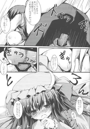 [Nanpuu] Patchou Love Fhentai - Page 14