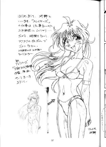 [Obata Hiroyuki - Yokoyama Chicha] Slayers Minimum Fhentai - Page 34