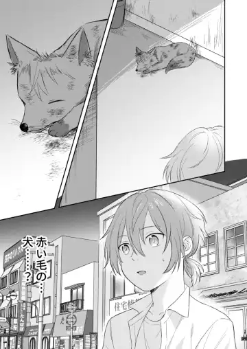 [Yano] Okitsune-sama o Hiroimashita Fhentai - Page 5