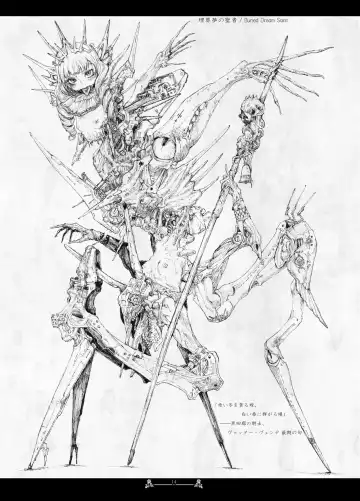 [Megrim Haruyo] Scar Queendom Fhentai - Page 14