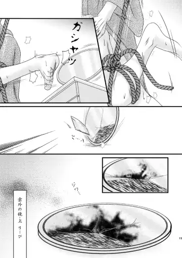 [Ribi] Ungai no Kagami Fhentai - Page 15