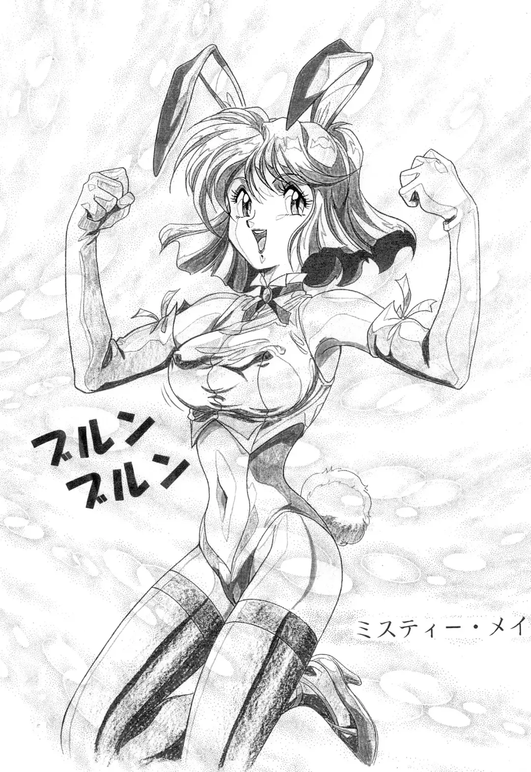 [Garland] Ecchi na Gengashuu Fhentai - Page 57