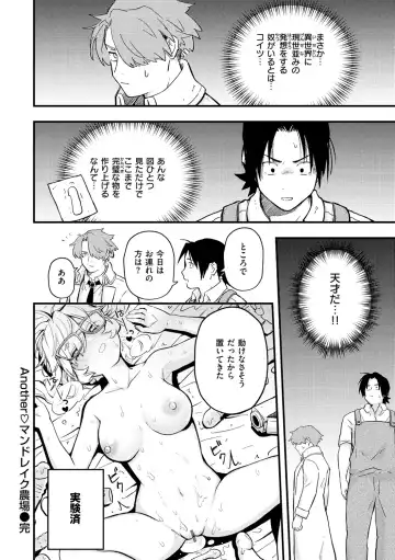 [Eroi-roe] Eroi Sekai - An Ero World Fhentai - Page 160