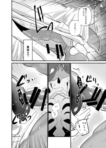 [Suzukino Masiro] Momonga-sama Anone, Sono Ato no Hanashi Fhentai - Page 48