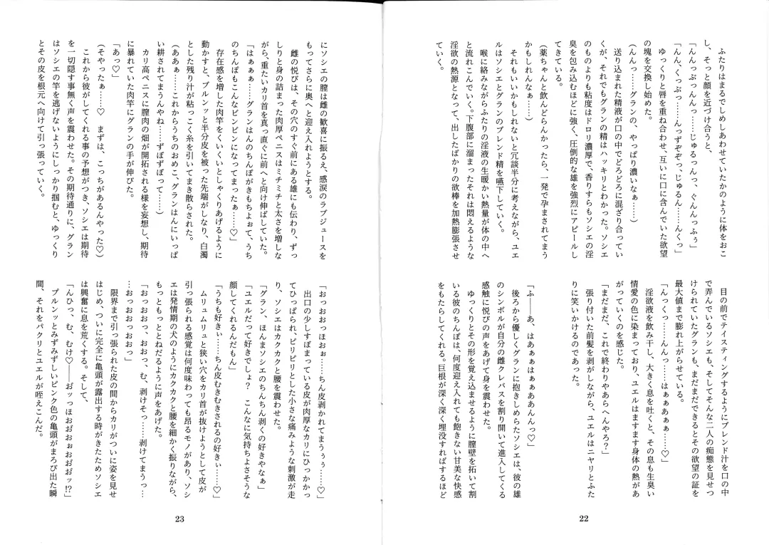 [Mitsugi] Futachinkonkon Fhentai - Page 13