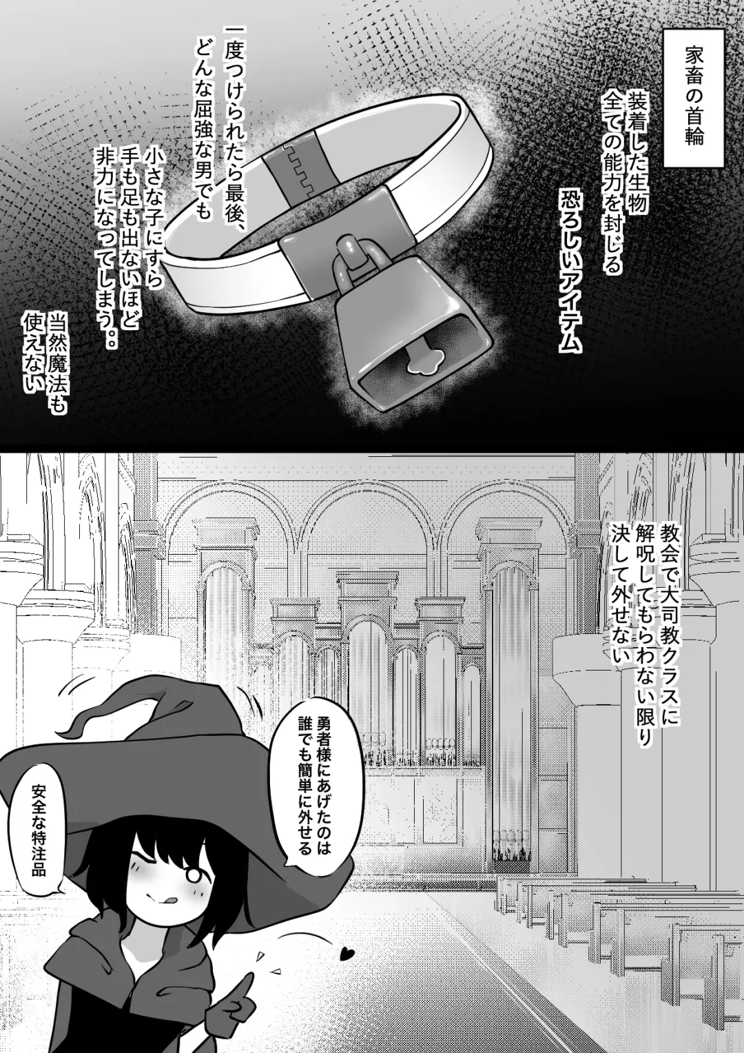 [Zandoro] Nakama ni Uragirare Succubus ni Urareta Yuusha-sama no Ohanashi Fhentai - Page 5