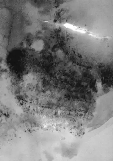 [Inoue Kiyoshirou] No Mercy Fhentai - Page 193