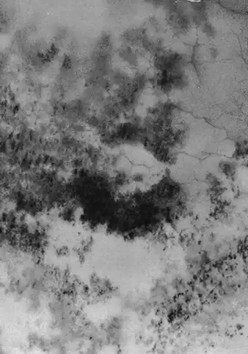 [Inoue Kiyoshirou] No Mercy Fhentai - Page 194