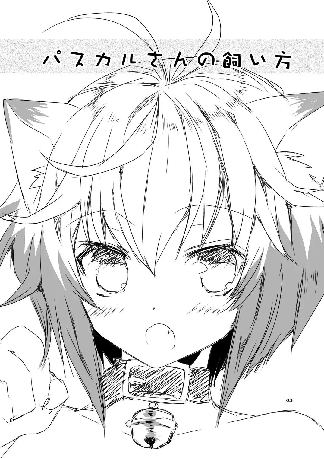 [Ootani Mikoto] Pascal-san Hatsujouki Fhentai - Page 23