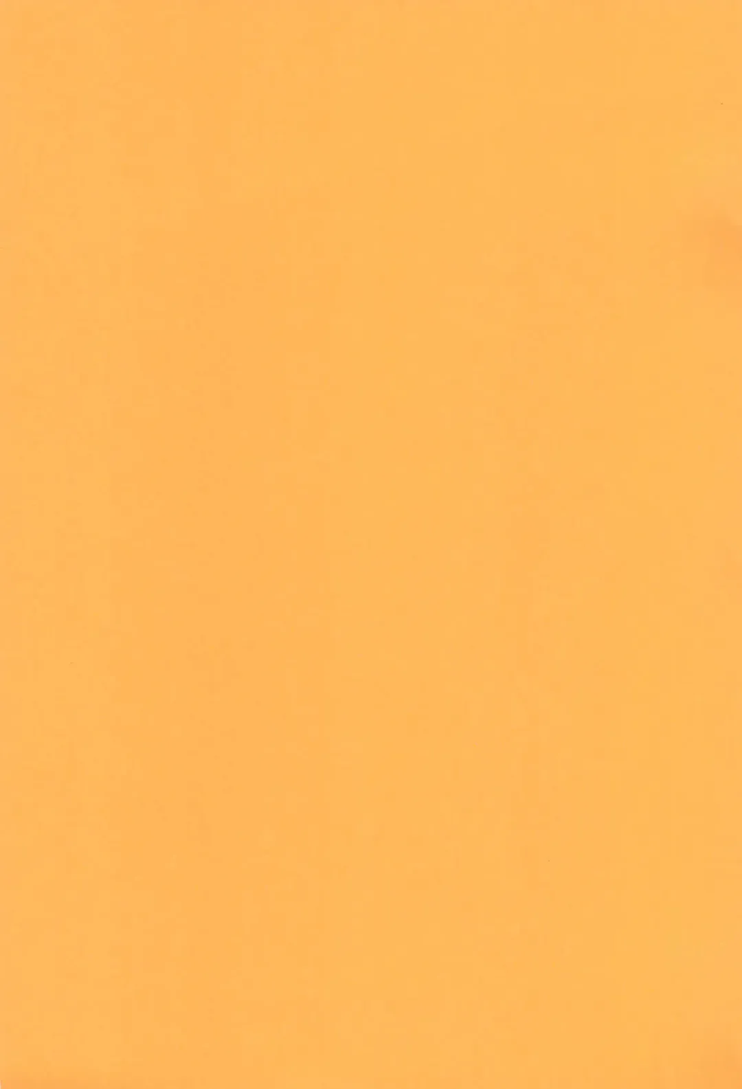 Shizuku -Fetishismatic Desire- Fhentai - Page 13