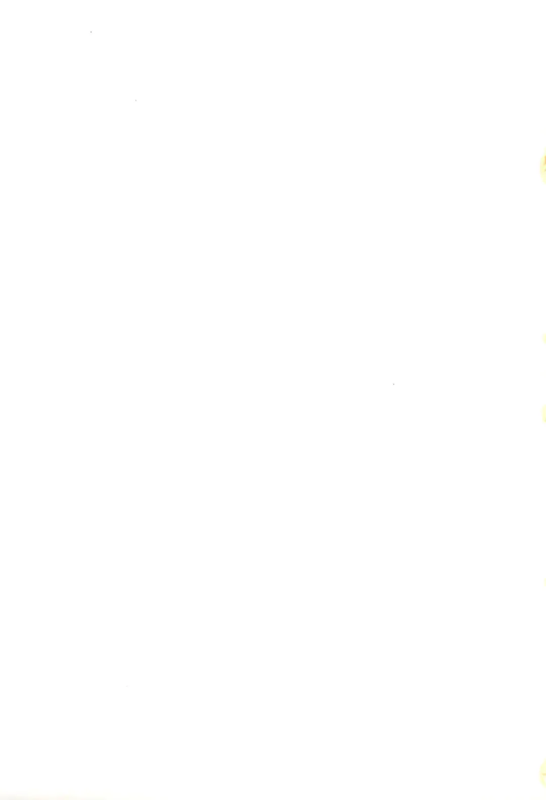 Shizuku -Fetishismatic Desire- Fhentai - Page 15