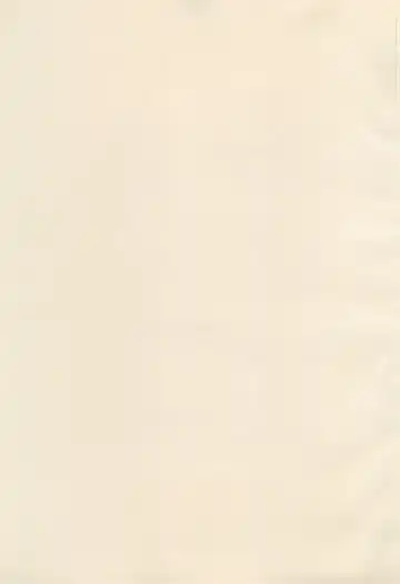 [Pin] PoLPoLA Fhentai - Page 3