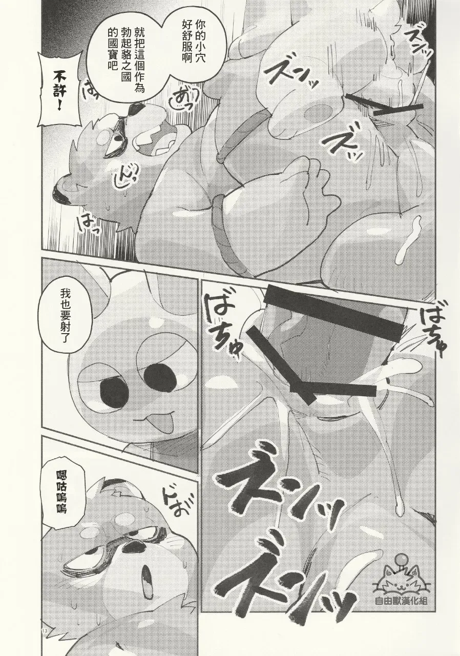 Kachi-Kachi Yama | 硬~~~邦邦山 [Chinese] [自由獸漢化组］ Fhentai - Page 14