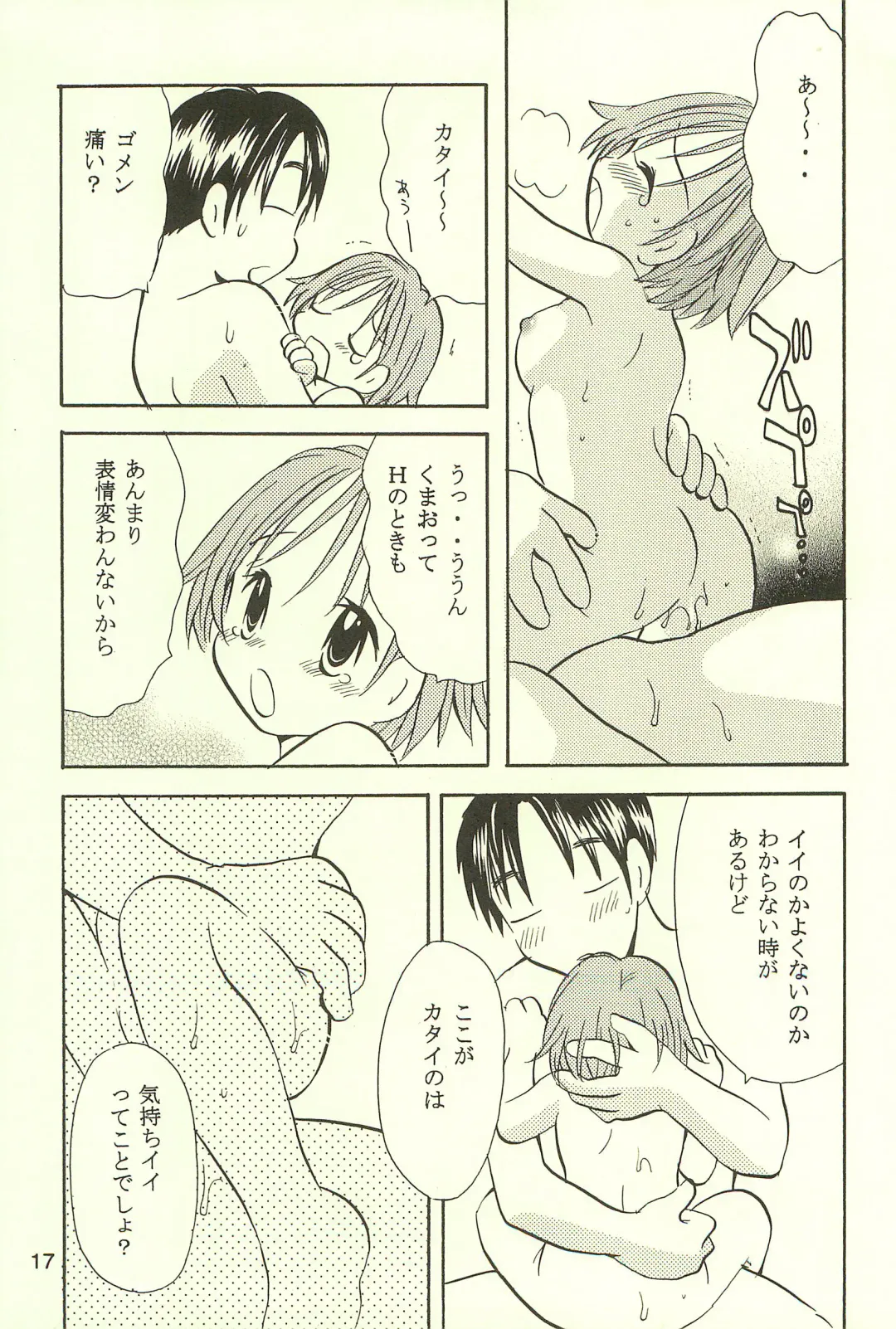 [Goto Hayako] Ayukuma Fhentai - Page 17