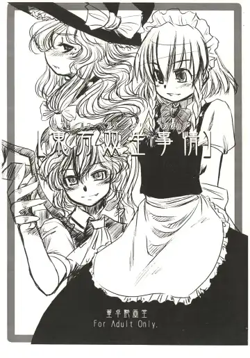 Read [Toutaku] Touhou Sousei Jijou - Fhentai
