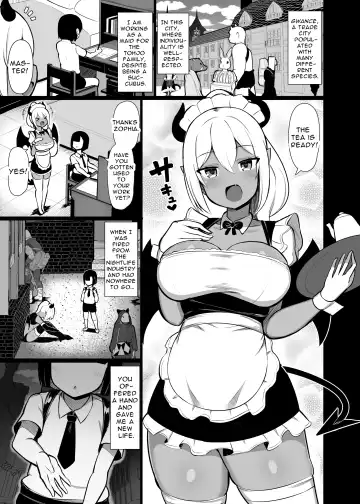 [Jakko] Goshujin-sama no Ochinchin wa Yuzurenai ~Succubus Maid to Nukirobo Maid~ Fhentai - Page 3