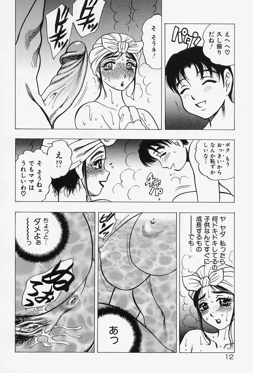 [Bijogi Junction] Shukujo No Seiheki Fhentai - Page 14