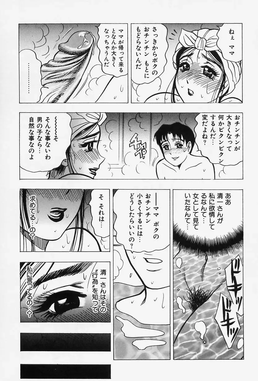 [Bijogi Junction] Shukujo No Seiheki Fhentai - Page 15