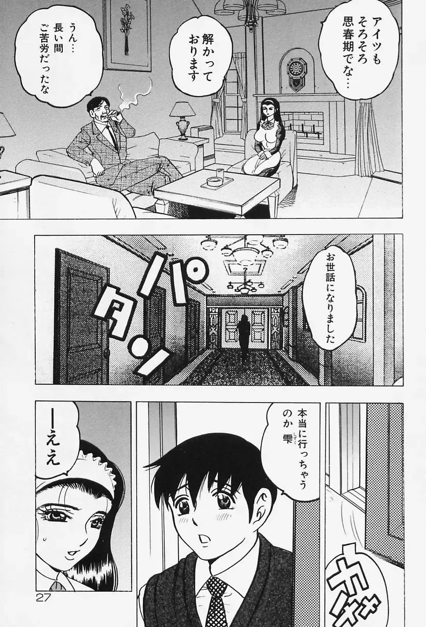 [Bijogi Junction] Shukujo No Seiheki Fhentai - Page 29