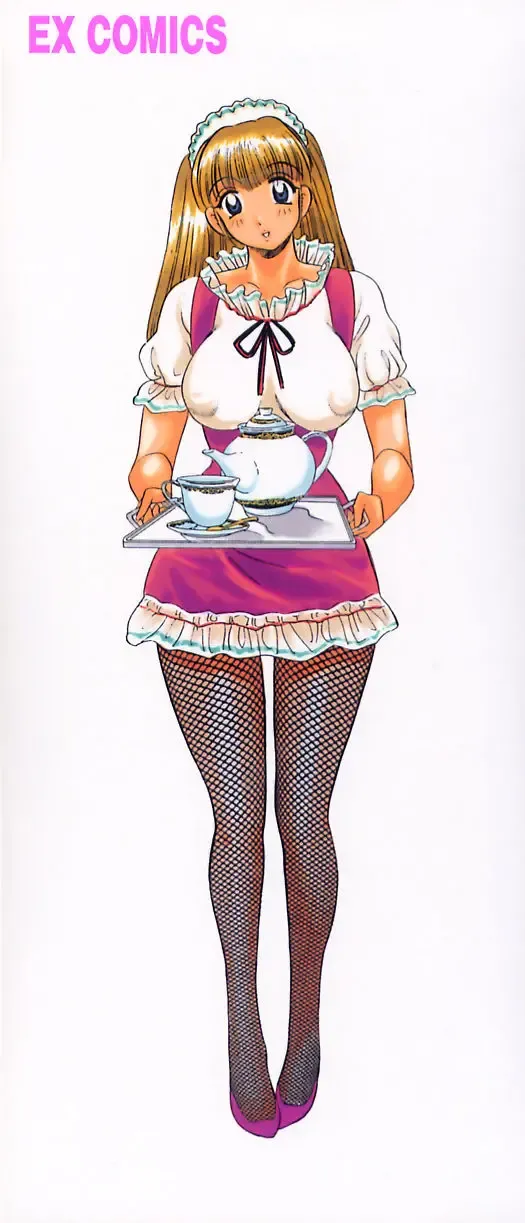 [Bijogi Junction] Shukujo No Seiheki Fhentai - Page 3