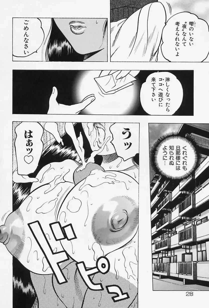 [Bijogi Junction] Shukujo No Seiheki Fhentai - Page 30