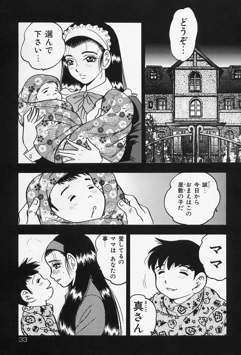 [Bijogi Junction] Shukujo No Seiheki Fhentai - Page 35