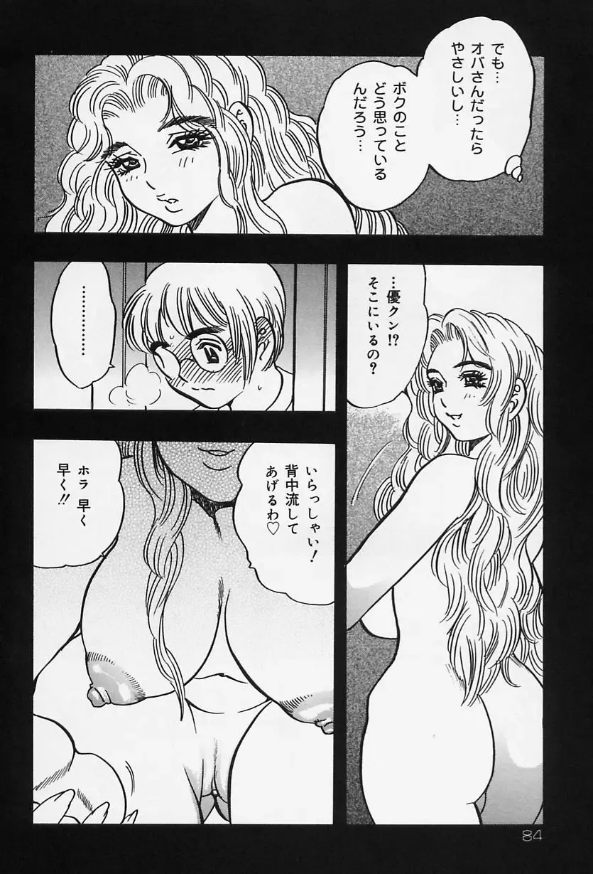 [Bijogi Junction] Shukujo No Seiheki Fhentai - Page 86
