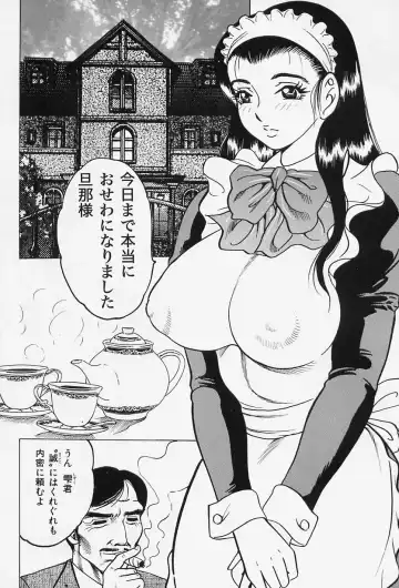 [Bijogi Junction] Shukujo No Seiheki Fhentai - Page 28