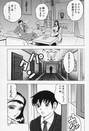 [Bijogi Junction] Shukujo No Seiheki Fhentai - Page 29