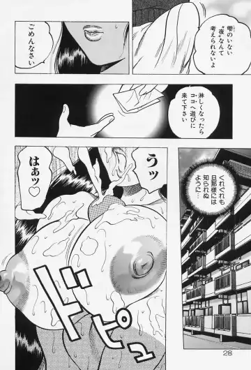 [Bijogi Junction] Shukujo No Seiheki Fhentai - Page 30