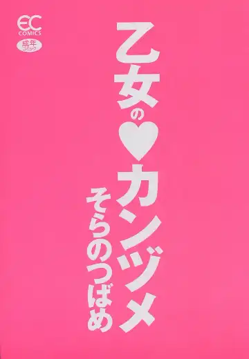 [Sorano Tsubame - Tsubame Sorano] Otome no Kanzume Fhentai - Page 4