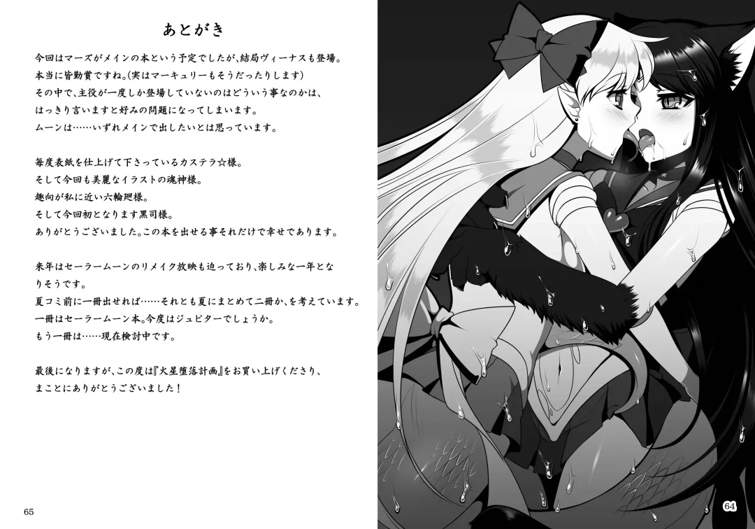 [Sch-mit] Kasei Daraku Keikaku Fhentai - Page 33