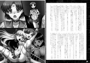 [Sch-mit] Kasei Daraku Keikaku Fhentai - Page 17