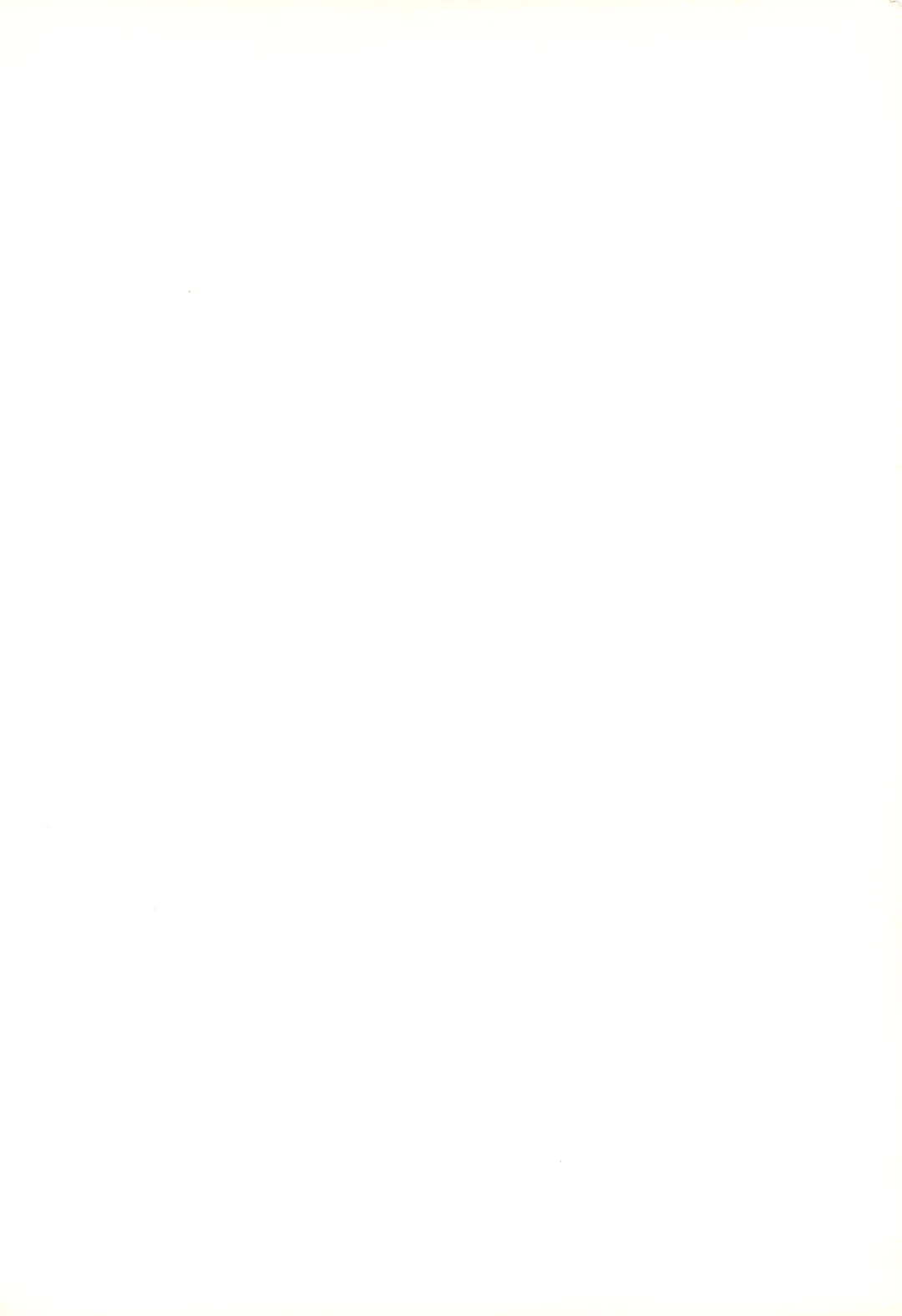 [Chouchin Ankou] Kuru Kuru Rinne 2 Fhentai - Page 2